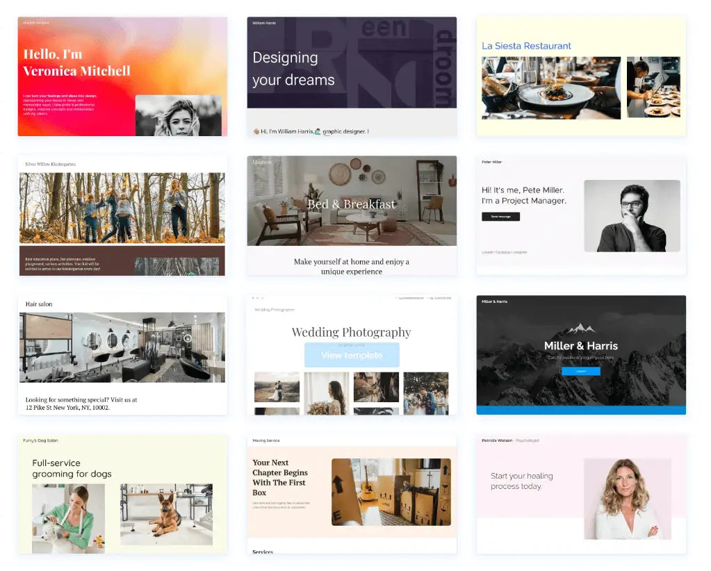 Shopify Website